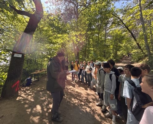 Waldjugendspiele (1)