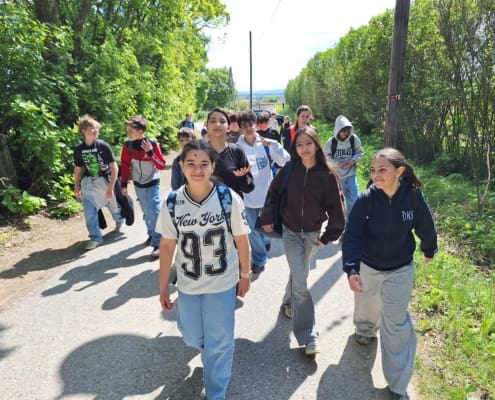 Waldjugendspiele (1)