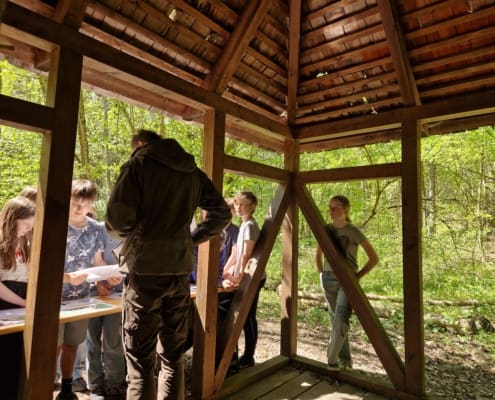 Waldjugendspiele (11)