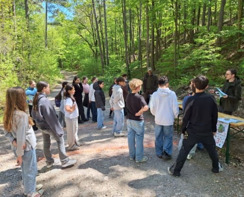 Waldjugendspiele (14)
