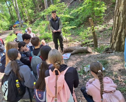 Waldjugendspiele (17)