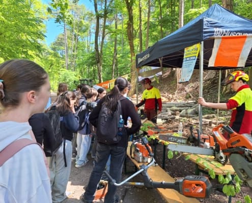 Waldjugendspiele (18)