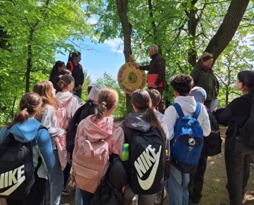 Waldjugendspiele (2)