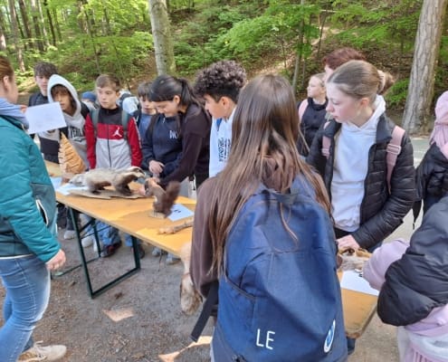 Waldjugendspiele (29)
