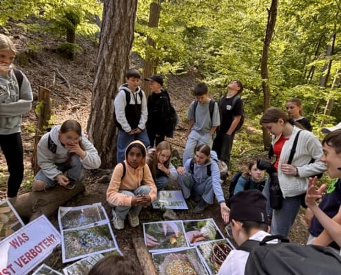 Waldjugendspiele (3)