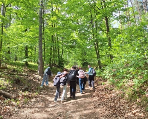 Waldjugendspiele (6)